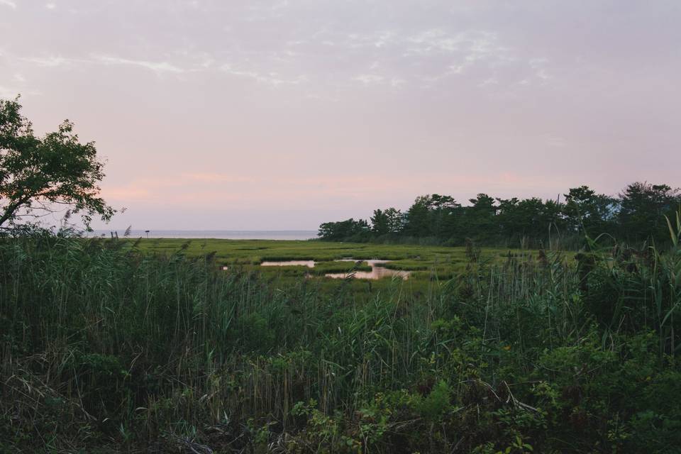 Long Beach Island Foundation of the Arts & Sciences