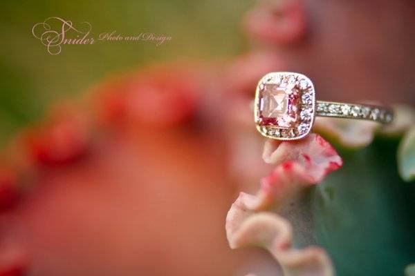 Like a flower.
© Snider Photo and Design
http://www.sniderphotoanddesign.com