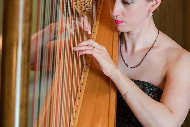 Meghan Davis, Harpist
