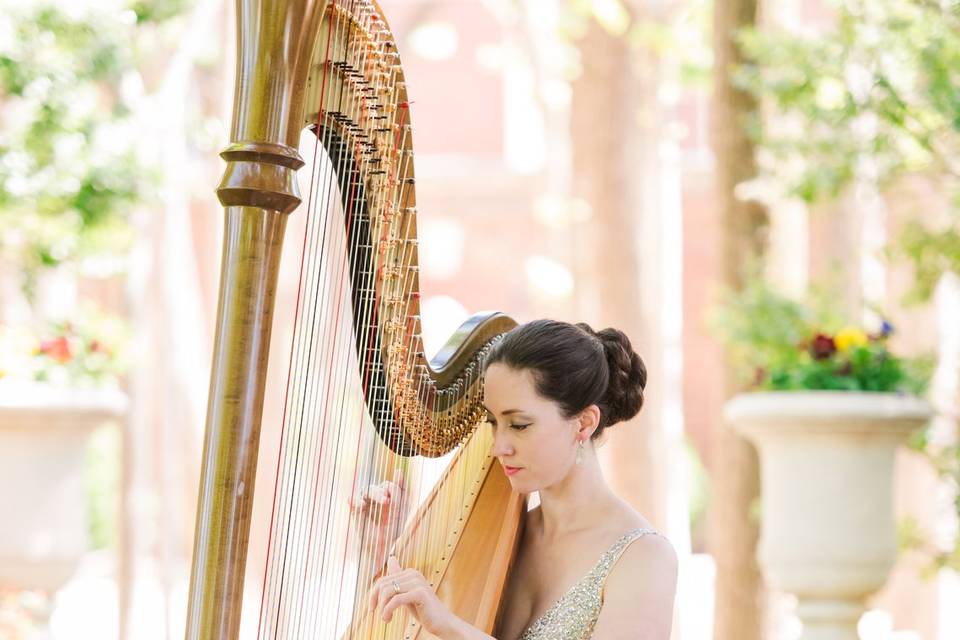 Meghan Davis, Harpist