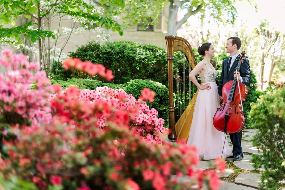 Meghan Davis, Harp and Cello