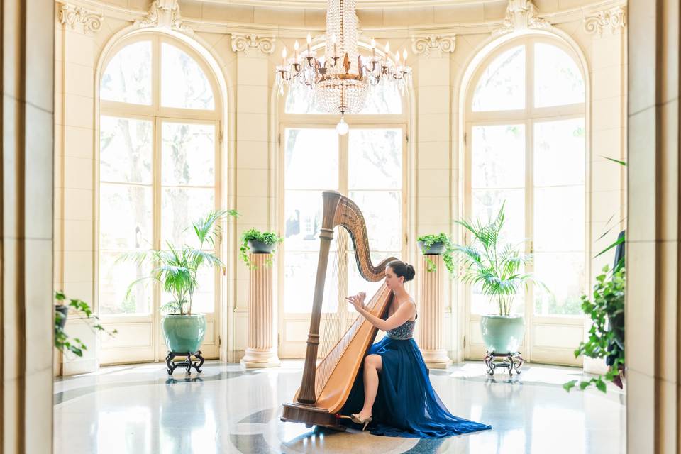 Meghan Davis, Harpist