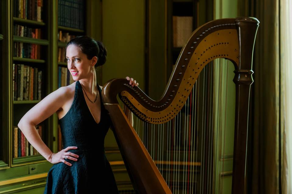 Meghan Davis, Harpist