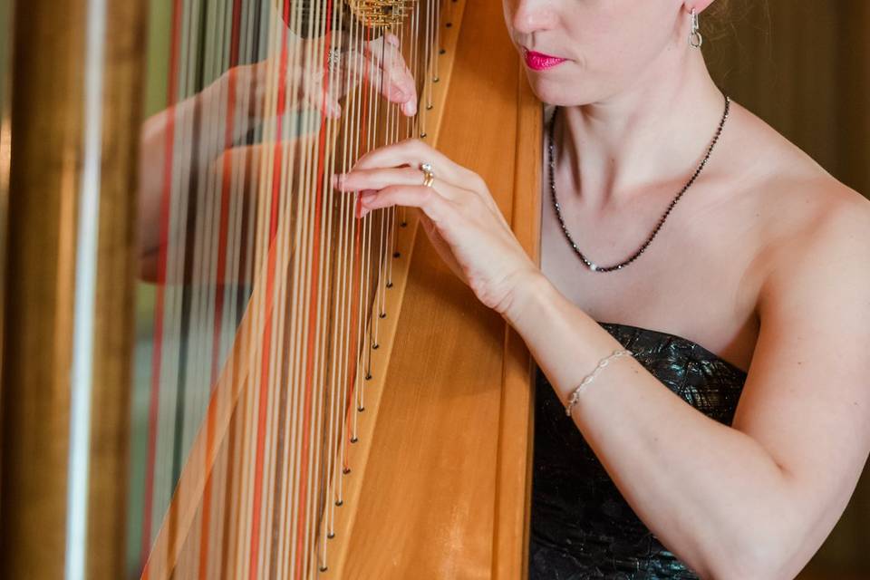 Meghan Davis, Harpist