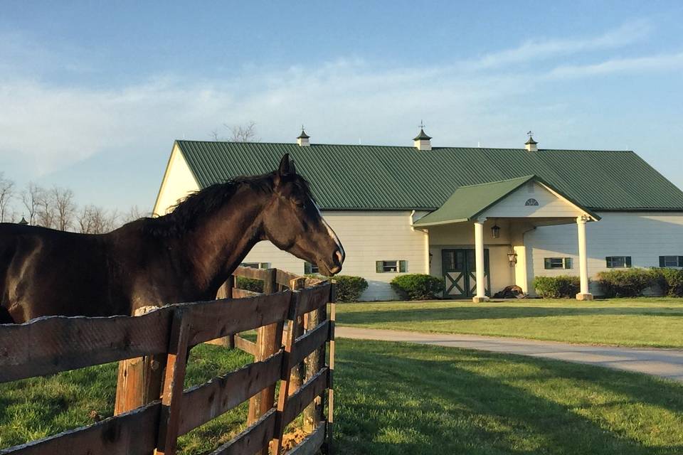 Sunset Barn with horses