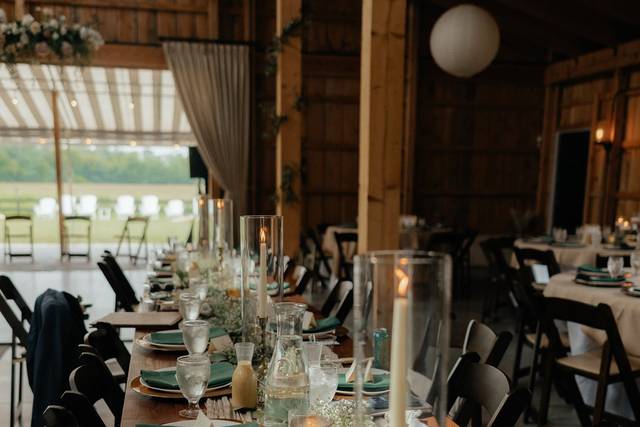 Emily Braun Photography