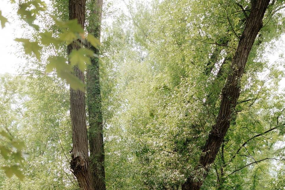 Emily Braun Photography