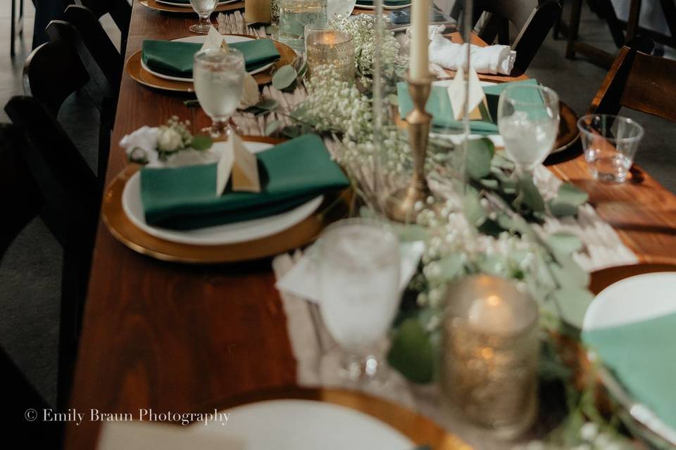 Emily Braun Photography