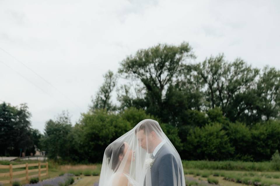 Emily Braun Photography