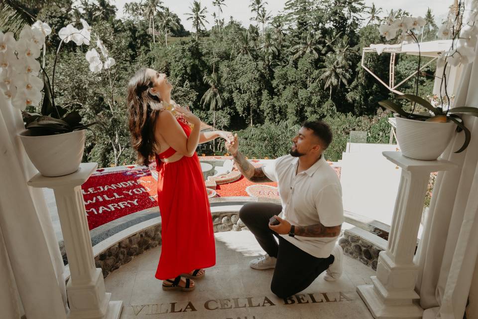 Romantic proposal