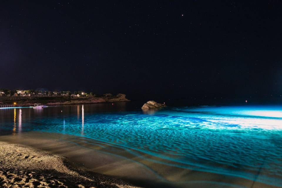 Our beach at night