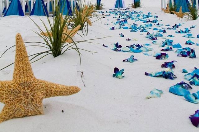 Barefoot Bliss beach wedding package features fresh blue orchids scattered along the smoothed aisle.