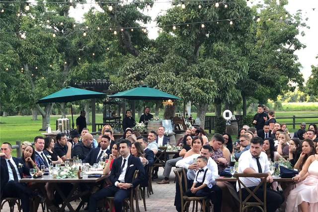 Wedding Reception