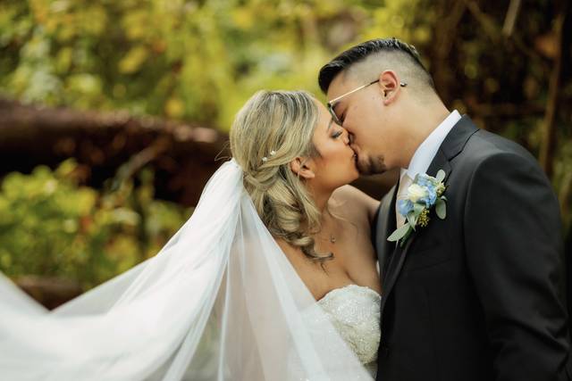 Veil Kisses