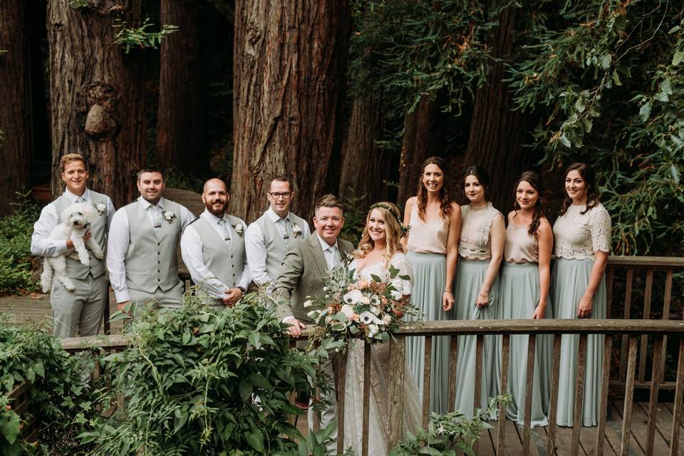 Redwood Forest Wedding