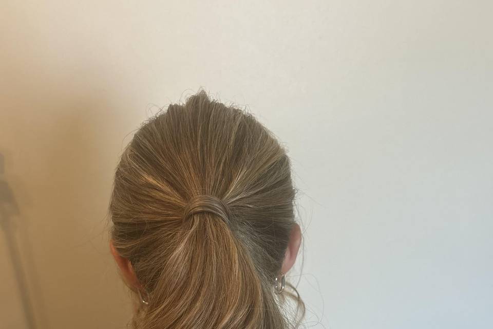 Pony updo