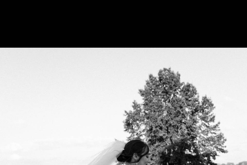 Bridal hair