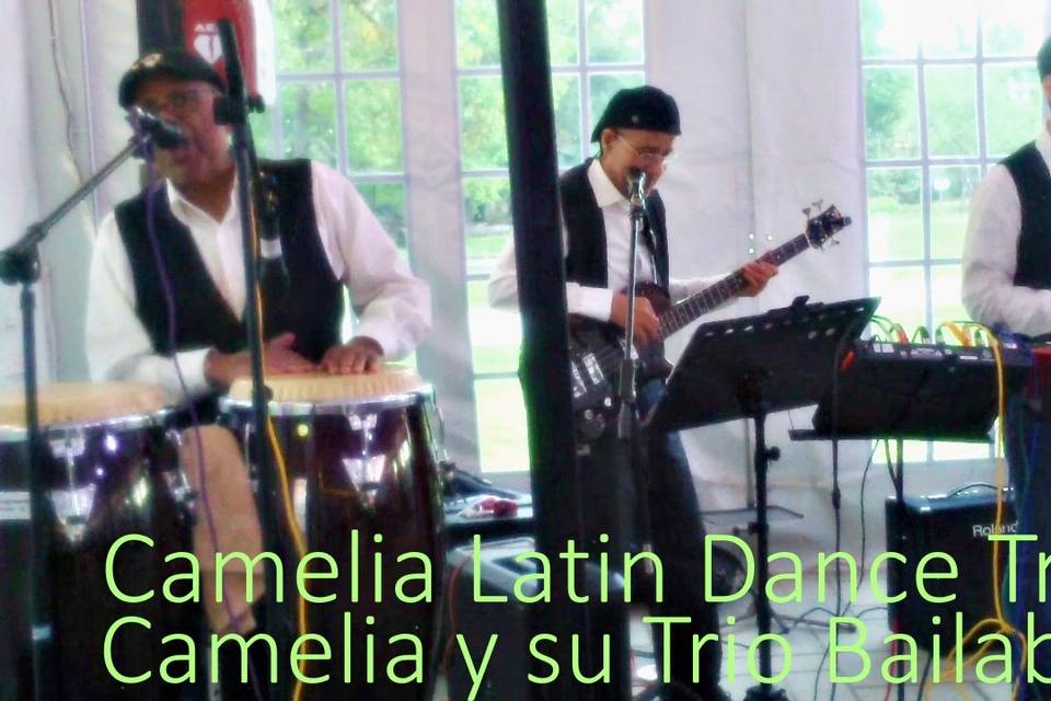 Camelia Latin Dance Trio