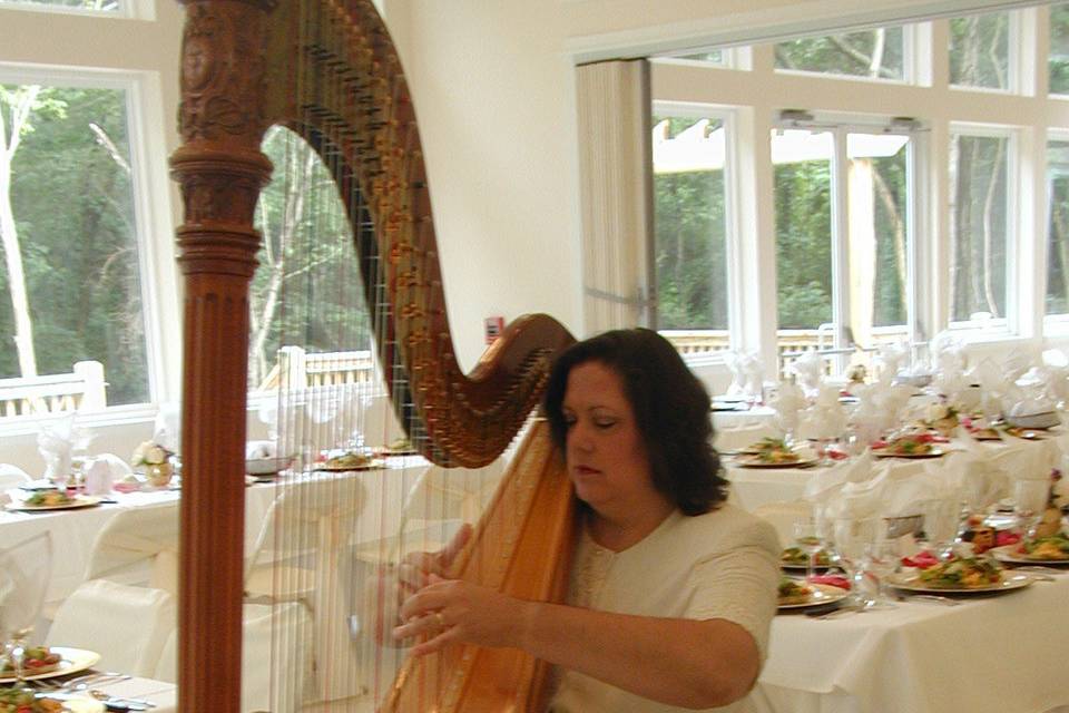 Lorelei Barton - Harpist