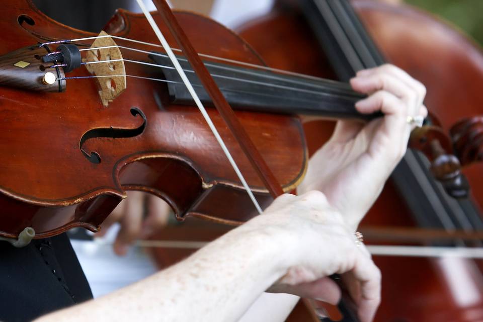 Violin and cello