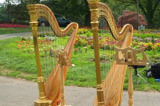 Cheryl Roeske, Harpist