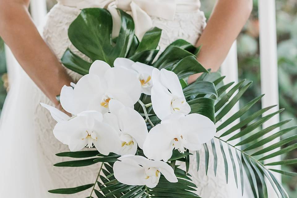 Fort Pierce Elopement