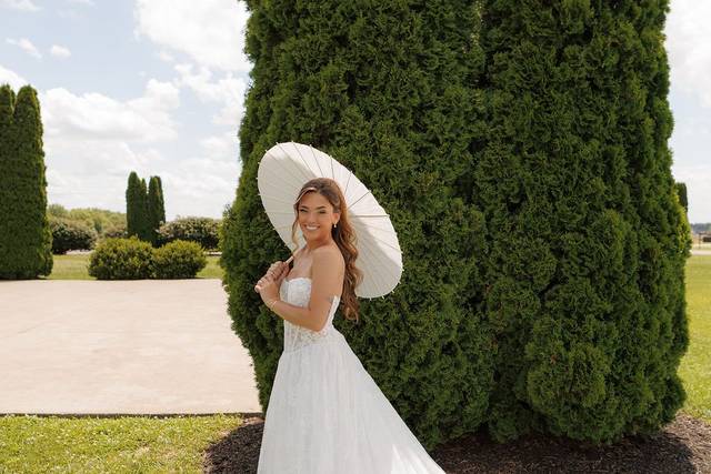 Bride with Parasol