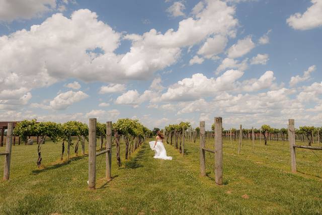 Bride in the Vines