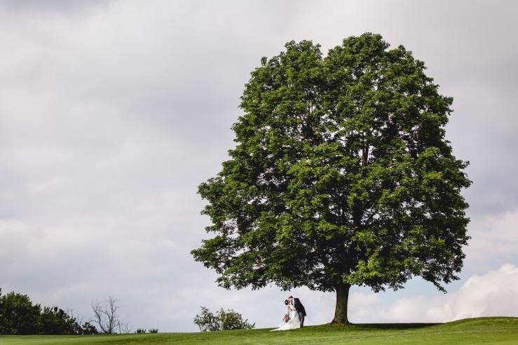 Tree on the course