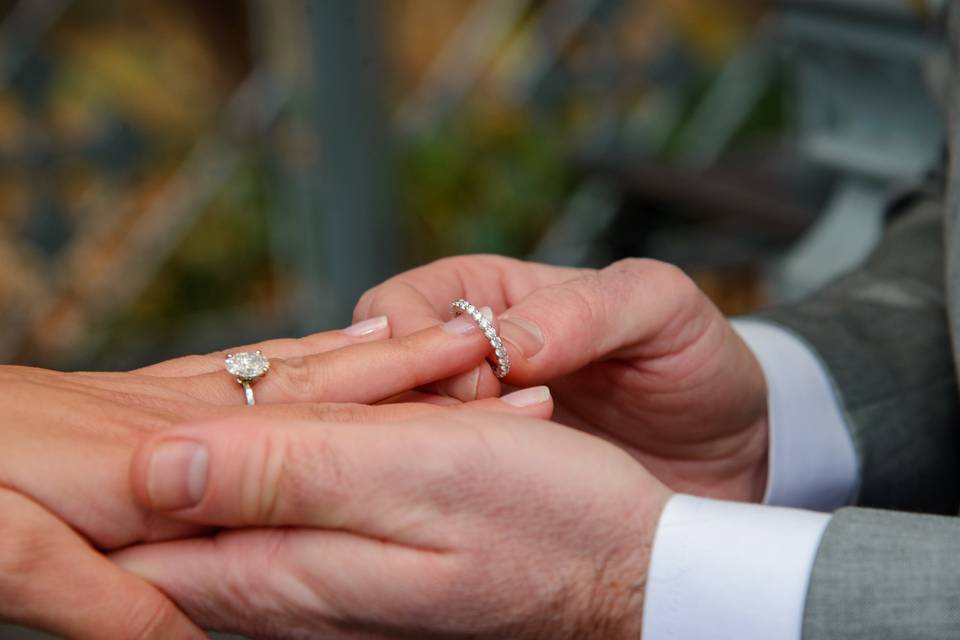 Setting up perfect Ring Shot