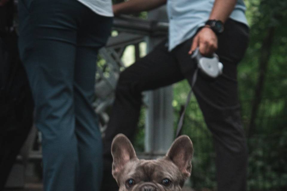 Fur Baby Best Man!