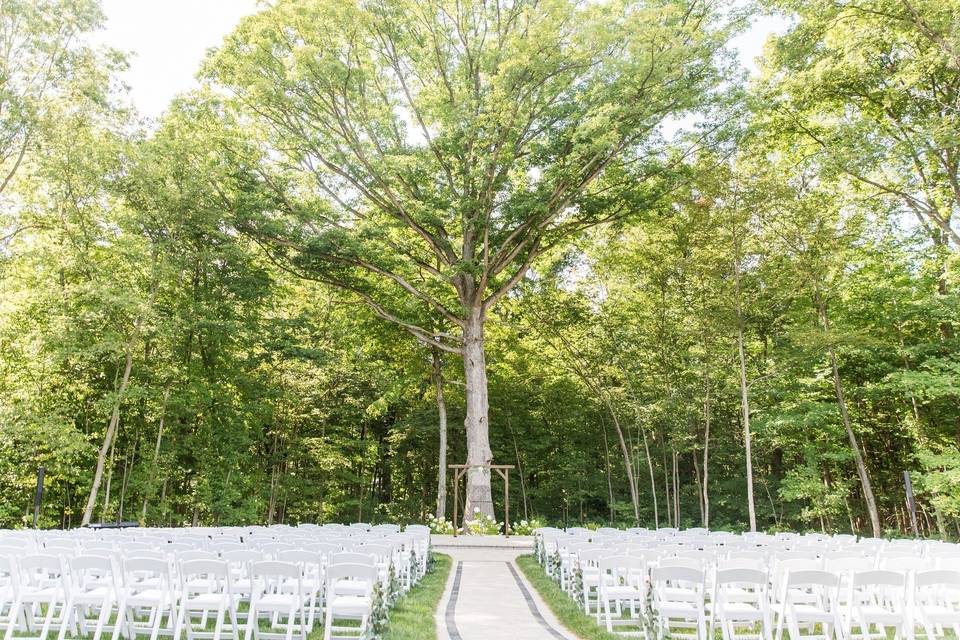 Ceremony Oak Tree