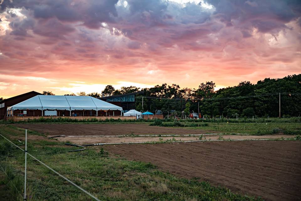 Tent from the farm side