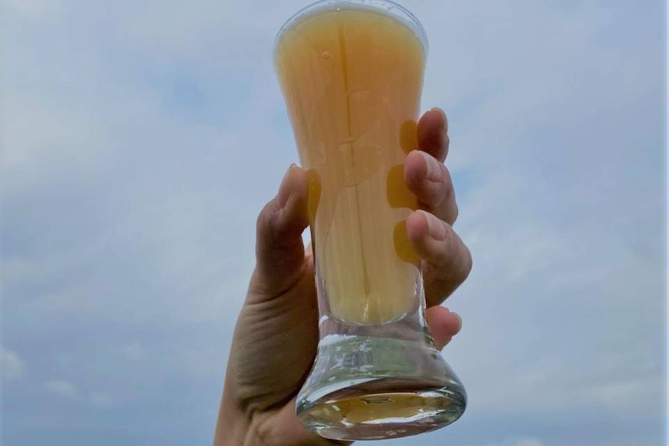 Dry-hopped lager