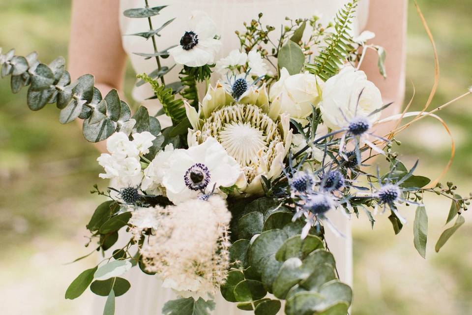 Classic blue and white palette