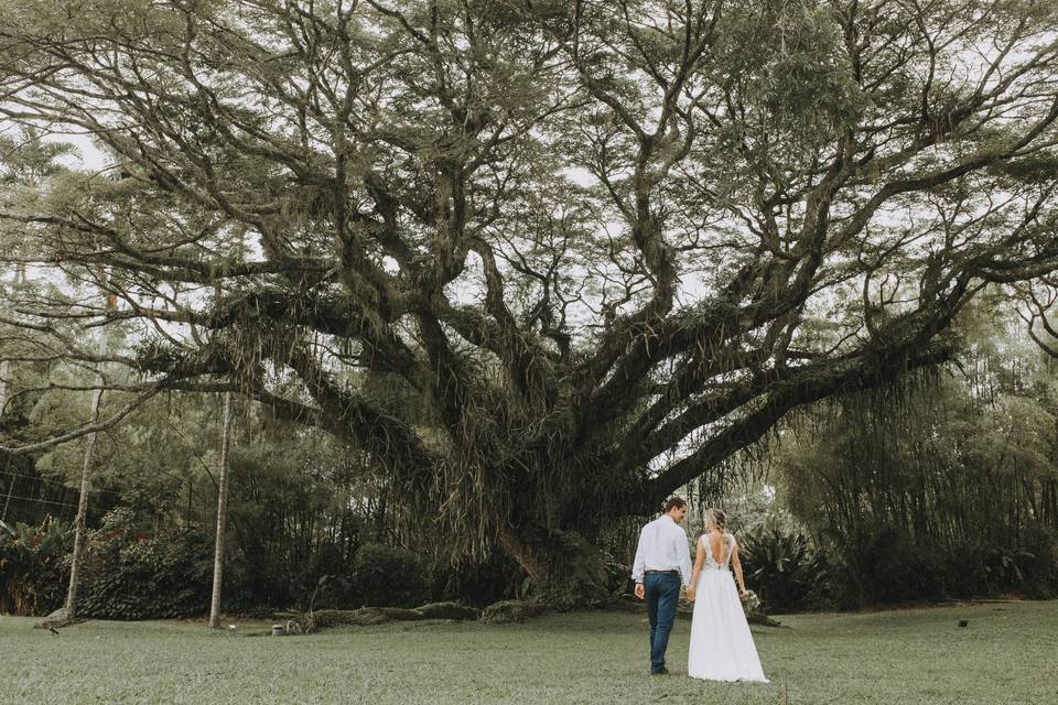 Bride and Groom
