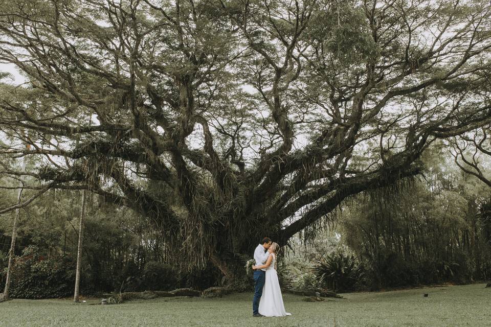 Bride and Groom