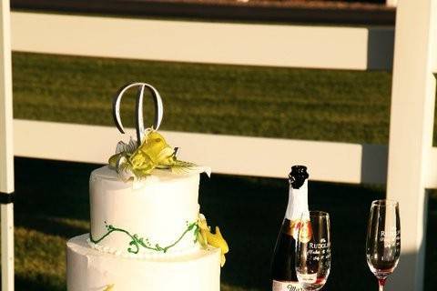 Sunshine Cakes