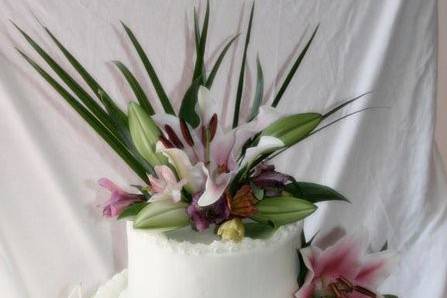 Sunshine Cakes