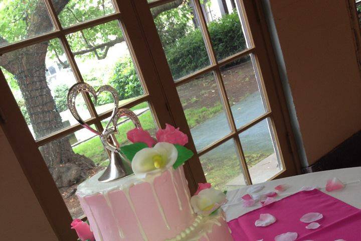 Sunshine Cakes