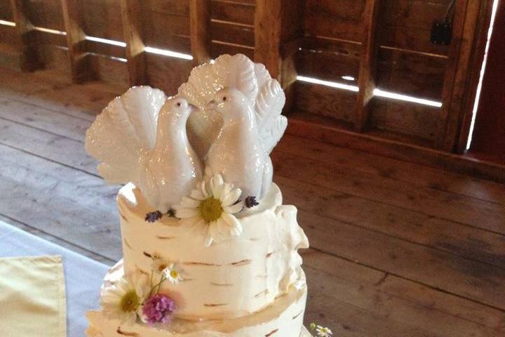 Sunshine Cakes