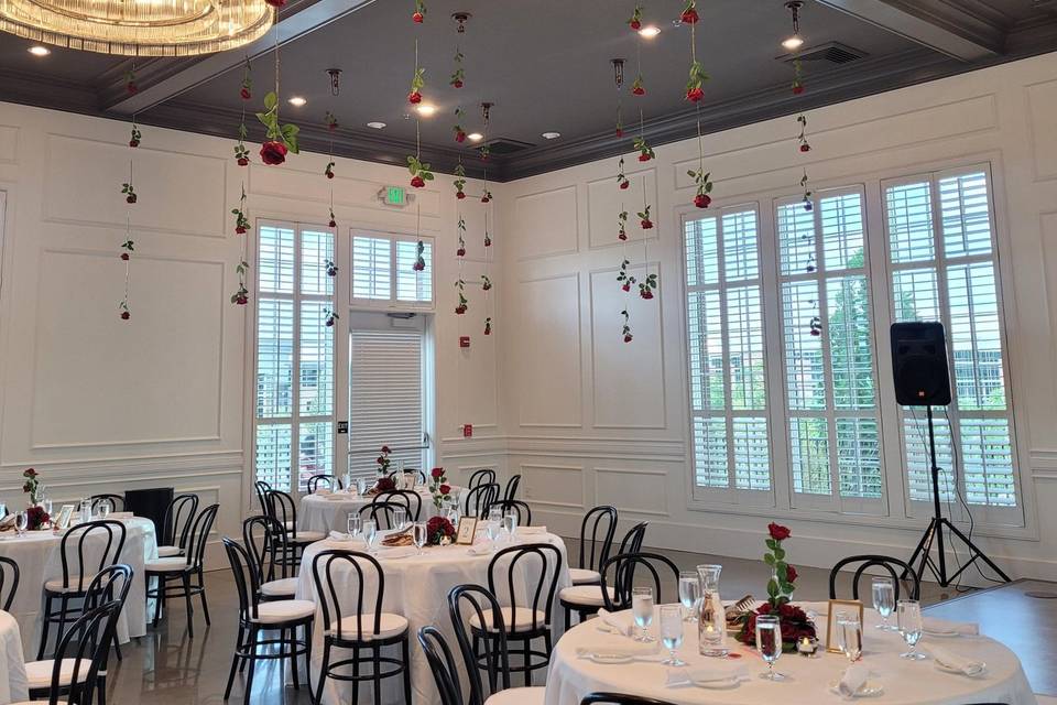 Ceiling Decor