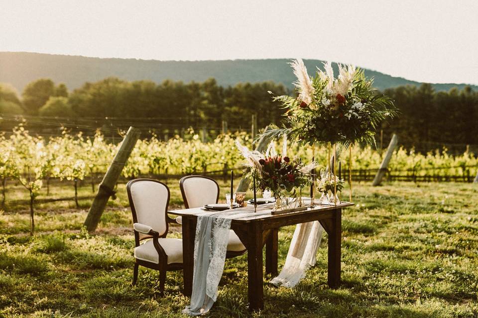 Dining among the vineyard