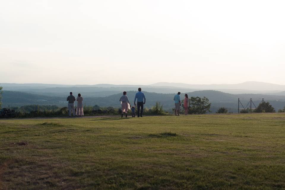 Vista of maine vineyard & cidery