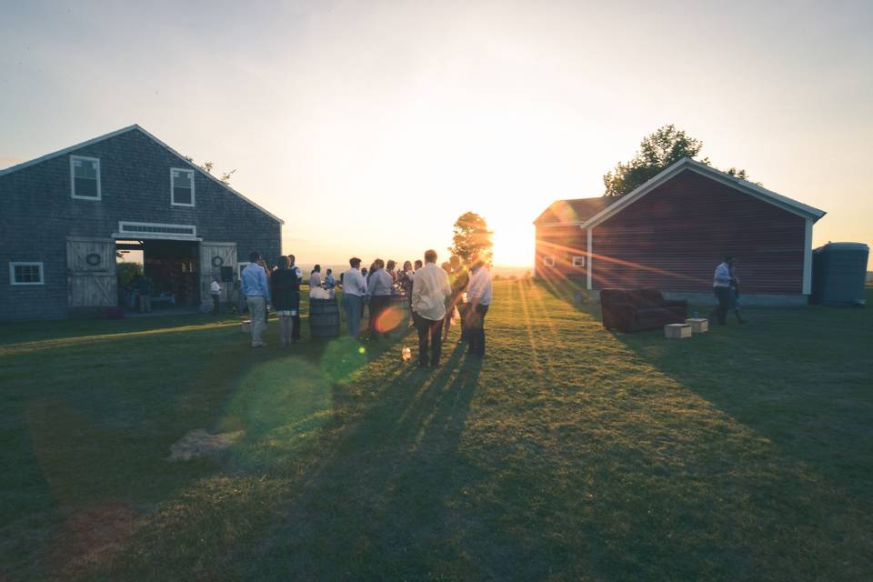 Vista of maine vineyard & cidery