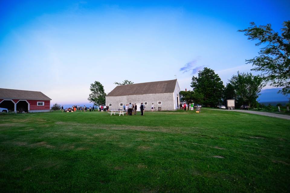 Vista of maine vineyard & cidery