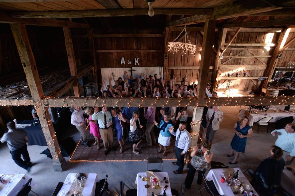 Vista of maine vineyard & cidery