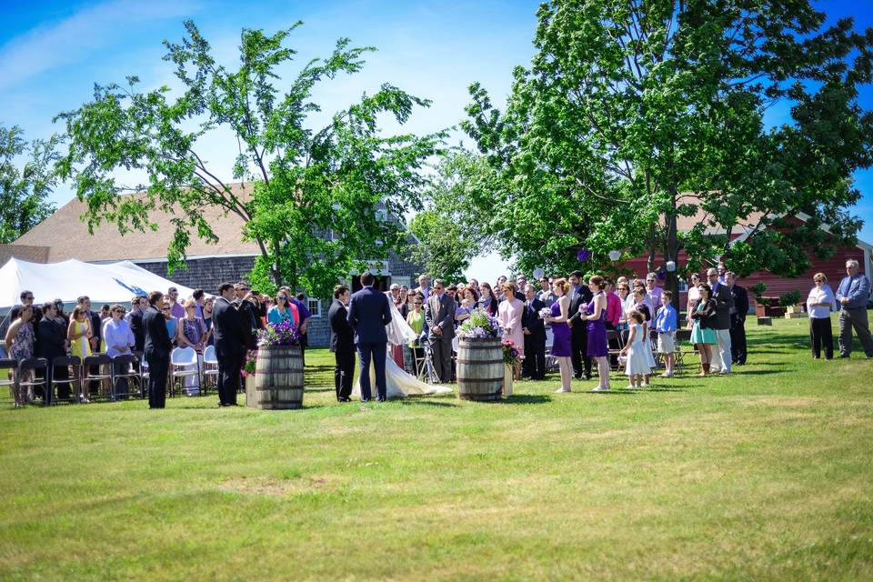 Vista of maine vineyard & cidery