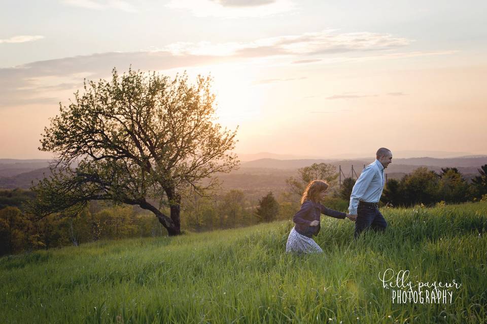 Vista of maine vineyard & cidery