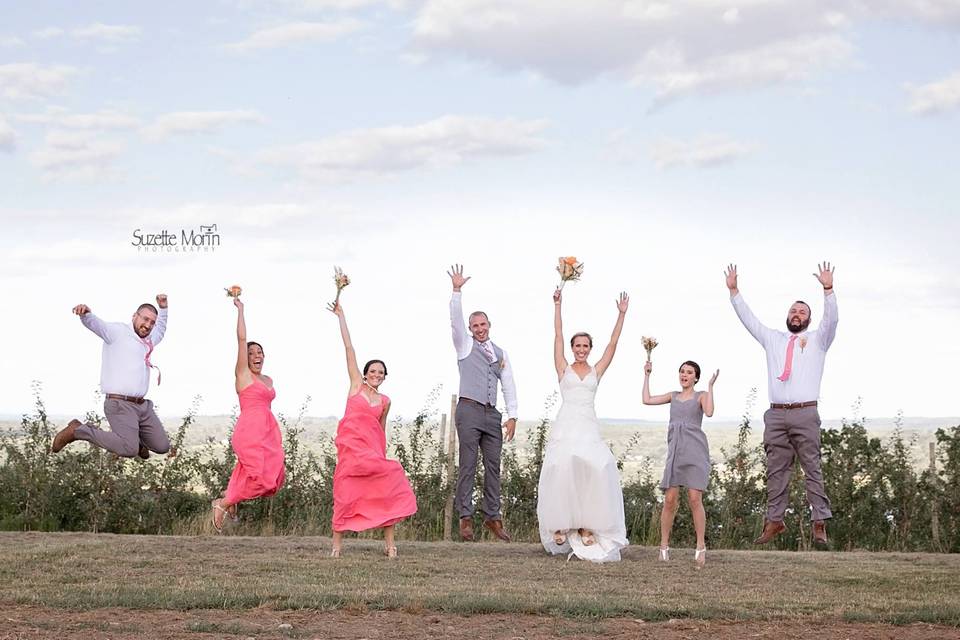 The couple with the bridesmaids and groomsmen